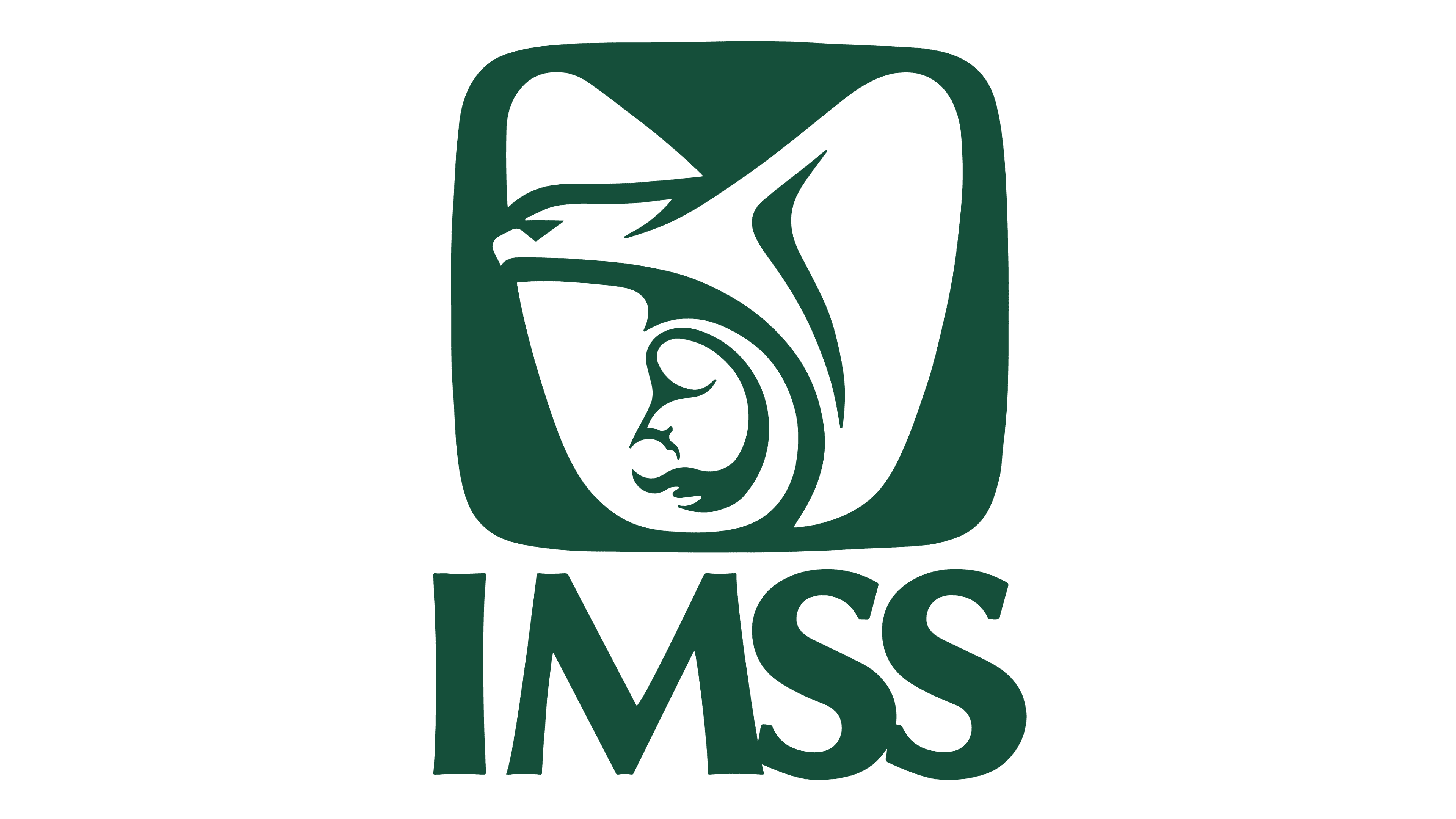 IMSS - Instituto Mexicano del Seguro Social